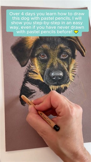 Curious about drawing animals with pastel pencils? Come try drawing this sweet little dog for $0