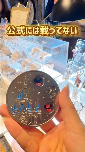公式には載ってないオリジナルミラーが可愛すぎる🥹💖注意点もあるから最後まで見てね✨#ディズニー #ディズニーランド #子連れディズニー #disney #ディズニーグッズ #シンデレラ城