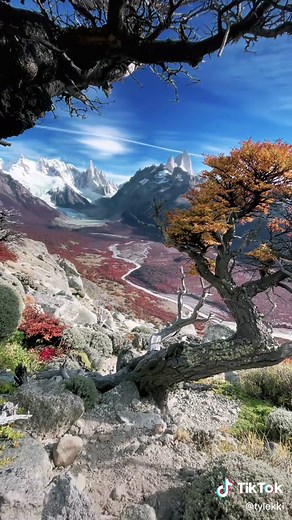 Fall colors in patagonia #elchalten #fall #autumn #colors #patagonia #argentina