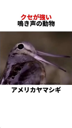 It's a really addictive cry 😐️