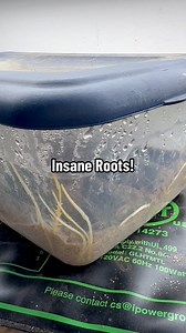 70K views · 1.3K reactions |  Root Any Plant with This Crazy SIMPLE...