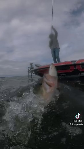 5.8K views · 53 reactions | Edge Rods by Gary Loomis on Reels | Facebook