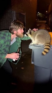 Late-Night Raccoon Encounter Ends in Bite Portland, Oregon — November 14, 2025 A man in Portland learned a painful lesson about wildlife interaction after a late-night attempt to befriend a raccoon went sideways. The encounter, captured on camera, shows the man approaching the wild animal while holding a glass bottle, seemingly unaware of the potential danger he was inviting by getting too close. In the footage, the man leans in close to the raccoon, which is perched on a large trash bin in a da