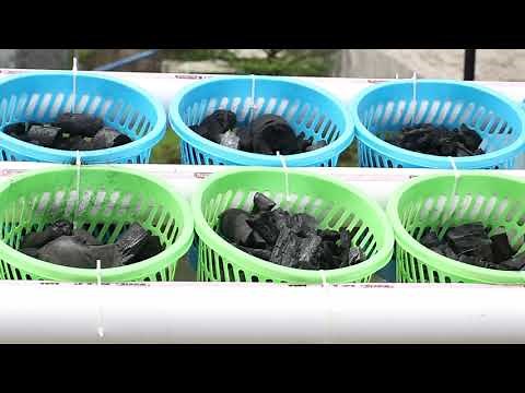 How to build a raft or floating aquaponic system