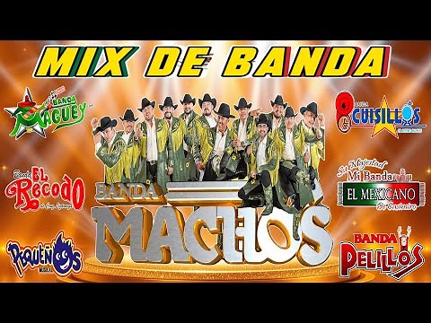 Banda Viejitas Pero Bonitas Para Bailar Mix 2025 - Bandas Famosas y Su Impacto en la Música Mexicana
