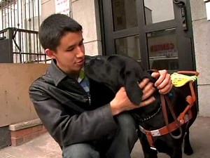 The Seeing Eye: New Beginnings