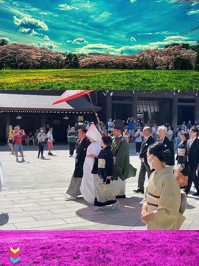 #伝統婚礼文化, #観光の奇跡, #外国人が感動する日本, #日本の美的感覚, #和婚文化, #伝統行事, #外国人の日本体験, #和装美人, #美しい和婚, #心震える体験,#日本文化旅行記,