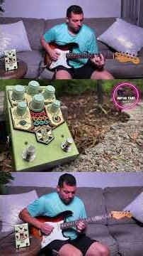 Beetronics Bee Bee Dee Delay Pedal - Writing a 1 minute loop in 10 minutes #guitar #guitarpedals