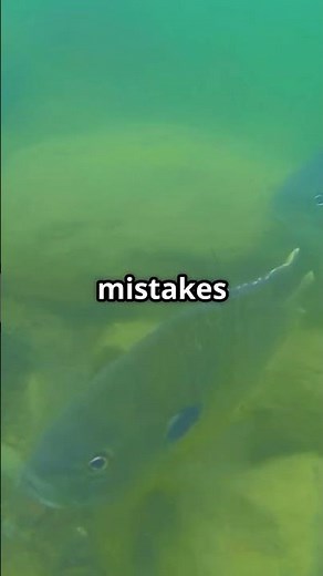 Fishing in Illinois: Pro Tips & Hidden Lakes #fishing #travel #shorts