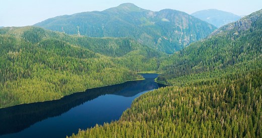 Tongass National Forest