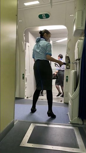 ANA CAチーフ 命のドアクローズ