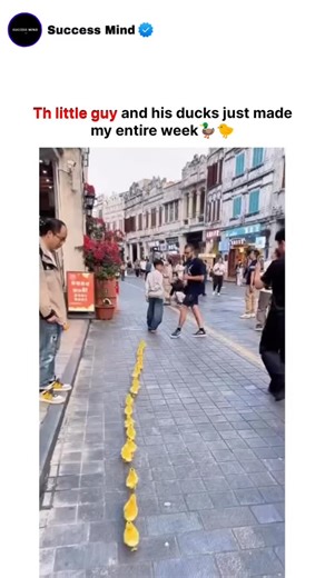 Explore World Insights | Ducks are closely linked to a remarkable behavioral process known as imprinting, which plays a vital role in their earliest stages of life.... | Instagram