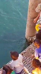 3.2M views · 3.7K reactions | Fishing Amazing TIME on Reels | Facebook