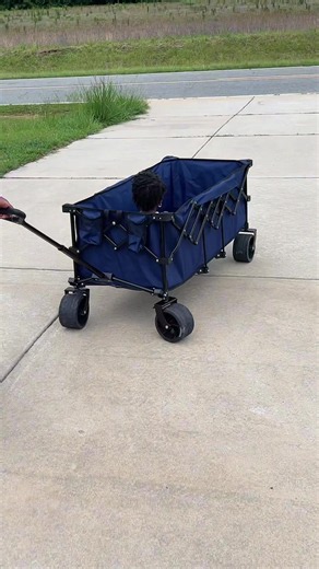Wagon Cart Summer Deals and Wins