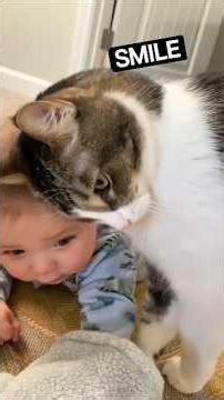 Cutess Babies & Kittens: Chasing Tails, Snuggles & Giggles! 🐾👶