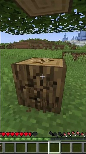 Use a Chest Boat to Cross the Ocean in Minecraf!