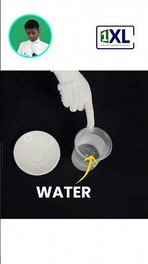 Unleash Your Inner Explorer! Build a Homemade Compass to Find North! #kidsscience