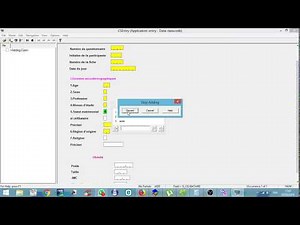 Contrôles dans un masque de saisie CSPRO: sauts de questions et formules de calculs automatiques