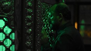 The Seed of the Sacred Fig