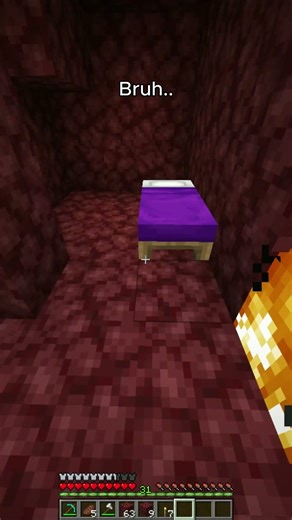 What the!? #minecraft #farming #minecraftvideos #gaming #memes #meme #minecraftbuilding #fyp #fypシ