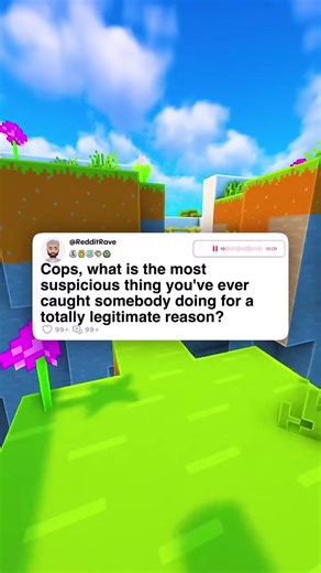 Cops, what is the most suspicious thing you’ve ever caught somebody doing for a totally legit reason? #reddit #fyp #viral #stories #redditstories