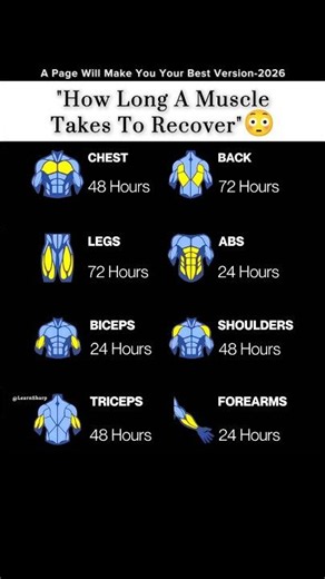 "How Long A Muscle Takes To Recover"😳