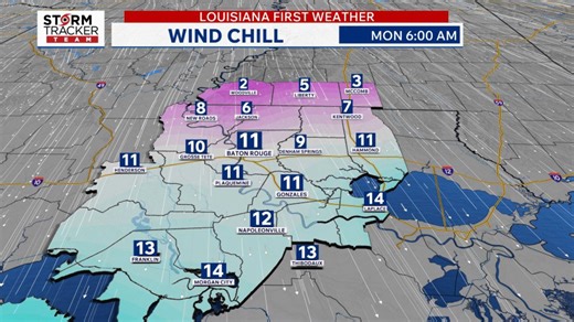 Baton Rouge weather: Bitter cold settles in