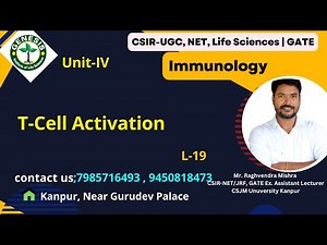 T-Cell Activation | Differentiation of T-helper cells | Immunology | #genesis_institute