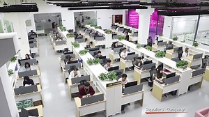 S-hande Powerful engineer team