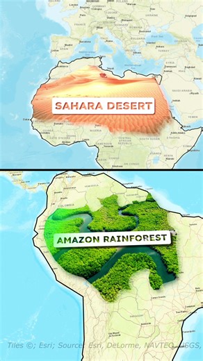 Sahara Desert Impact on Amazon Rainforest