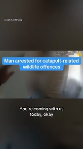 A 21-year-old has been arrested for catapult wildlife offences... | Kent Messenger