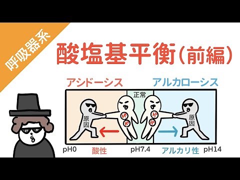 酸塩基平衡（前編）イラスト図解