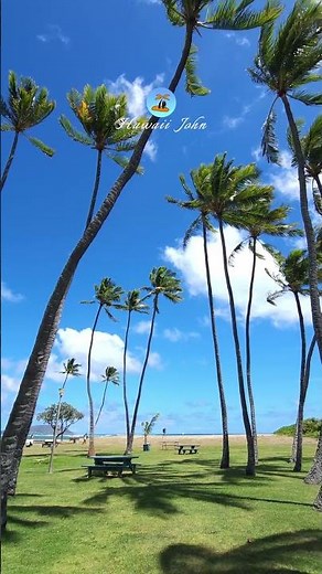 Kahala Beach 🌴 Hawaii John