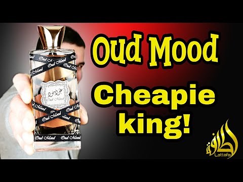Oud Mood Fragrace Review Lattafa | The cheapie king!