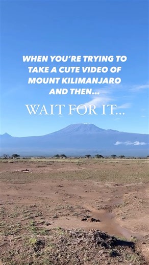  Mount Kilimanjaro and Elephants = iconic! ❤️﫶Did you know Mount...