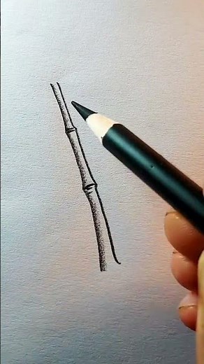 Bamboo drawing technique by pencil ✏️