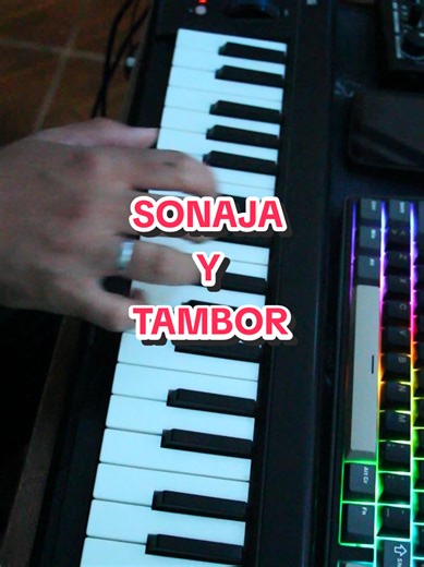 Sonaja y Tambor: Cumbia en Teclado con Franco Kaenel
