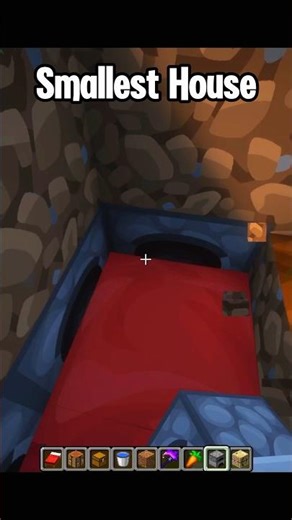 Minecraft Smallest House #minecraft #shorts