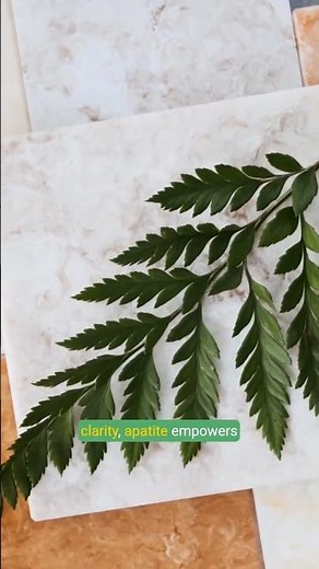 Why Apatite is the Ultimate Stone for Growth & Clarity