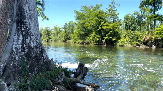 9.8K views · 120 reactions | The weather is getting warmer, and more...