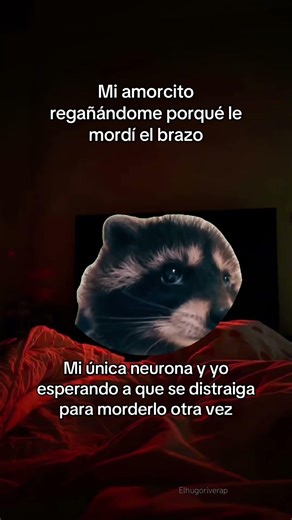 Puro amor apache con mi amorcito jajaja. 😂 #humor #viral #memes #viralvideo #comedy