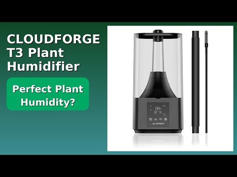 REVIEW (2025): CLOUDFORGE T3 Plant Humidifier. ESSENTIAL details.