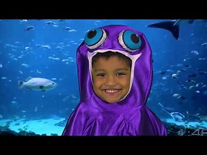 Singing Sprouts - Octopus song