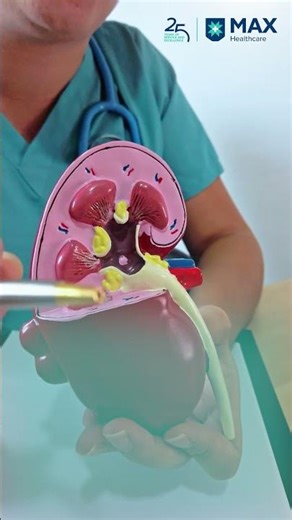 Early Warning Signs That Indicate Kidney Trouble