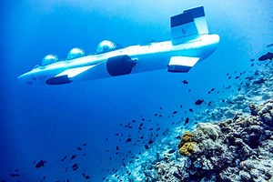 Most Unique Activities and Experiences for Maldives Luxury Travellers