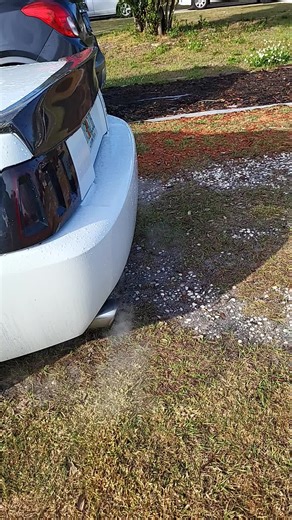 Mustang GT V8 Chopping Sound Showcase