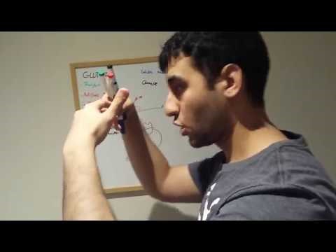 GLUT 4 Transporter Mechanism Explained (What Is GLUT 4)