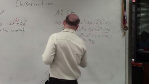 Classifying a polynomial based on its degree and number of terms