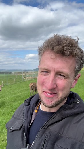 17K views · 1.3K reactions | Facts are facts 鸞 | The Sheep Game | Facebook