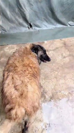 Quick & Efficient Secretary in Action: Watch How She Does It